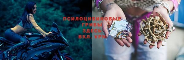 дмт Кукмор