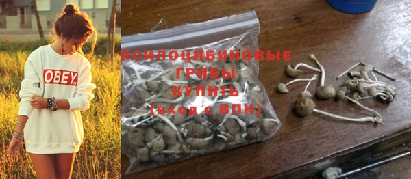 дмт Кукмор