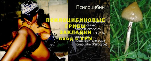 соль ск Куйбышев