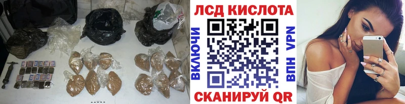 закладка  Ленинградская  ЛСД экстази кислота 