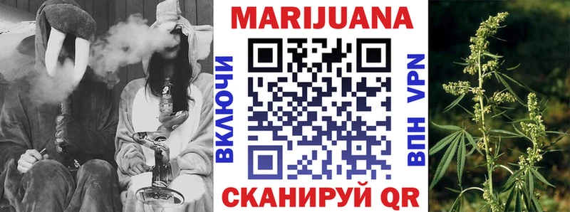 Шишки марихуана гибрид  Ленинградская 